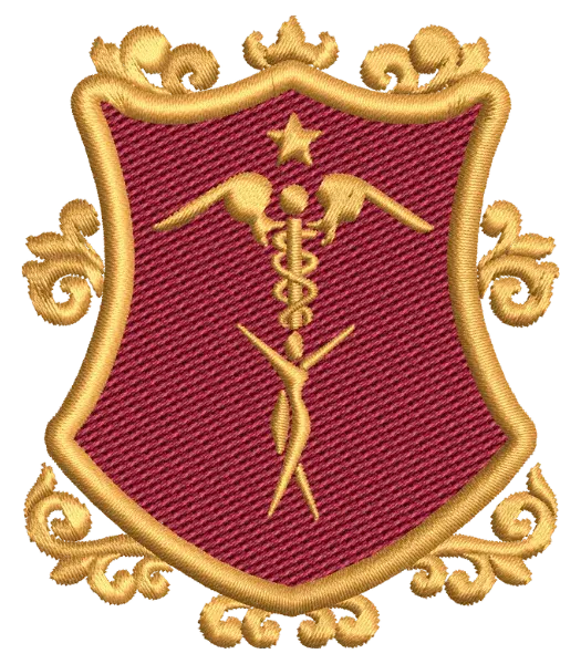 Matriz de Bordado Curso Estetica